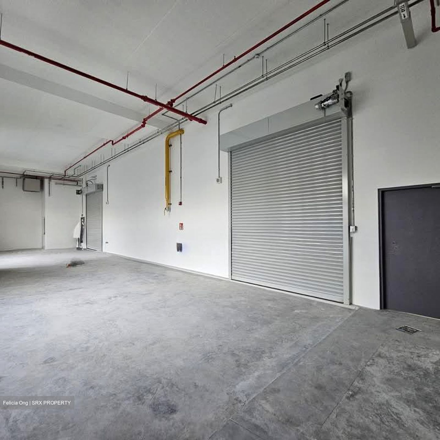 Ct Foodnex (D25), Factory #541640731